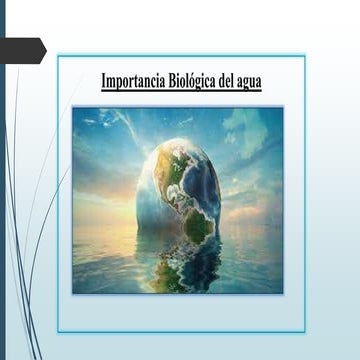 La importancia biológica del agua