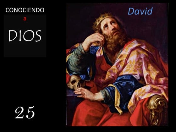 25 David