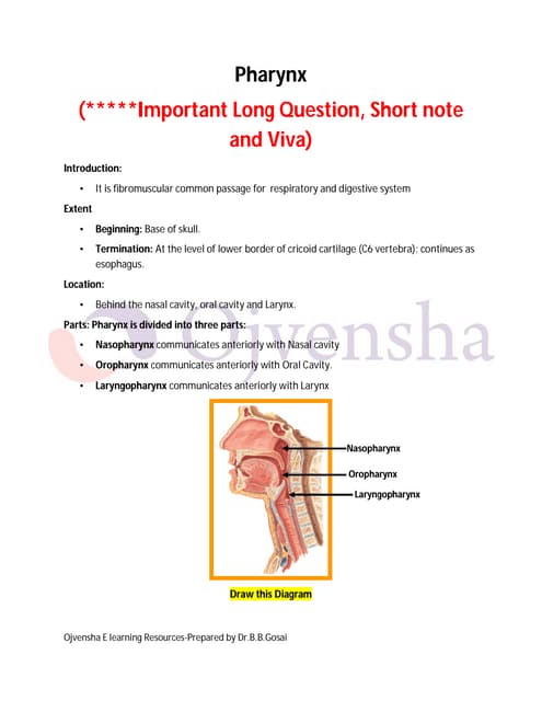 Pharynx dr.gosai