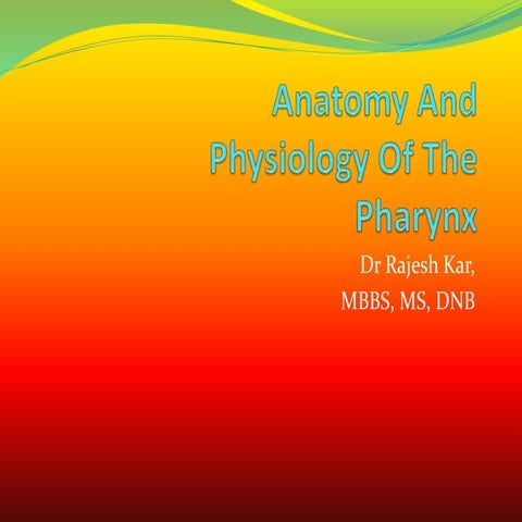 Pharynx Anatomy and physiology