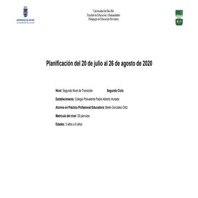 Borrador planificacion parte 1 práctica cuarentena 2020 .pdf