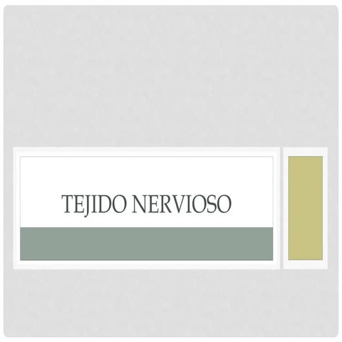 Tejido nervioso_ERoman