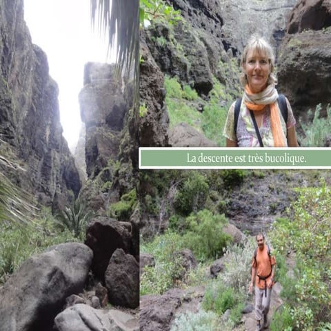 Powerpoint les canaries 2