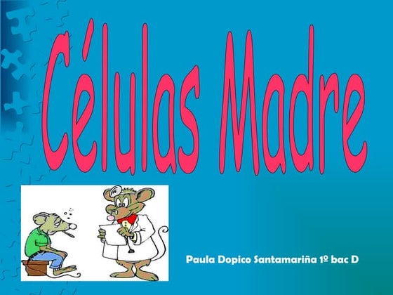 Células Madre