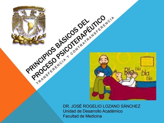 Principios básicos del proceso psicoterapéutico