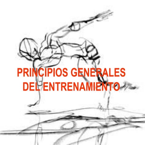 Principios Generales Del Entrenamiento