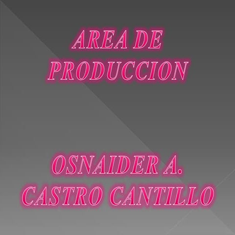 AREA DE PRODUCCION