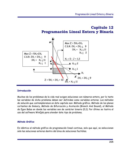 Programación lineal entera y binaria