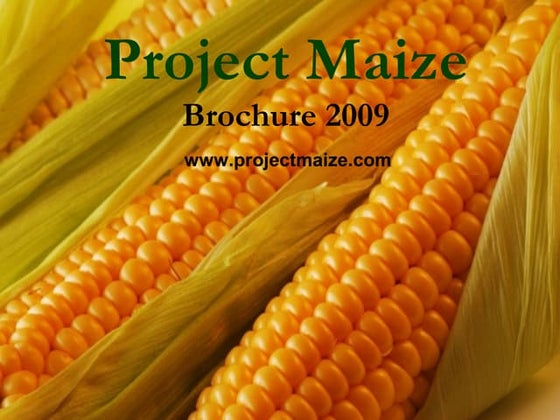 Project Maize Brochure