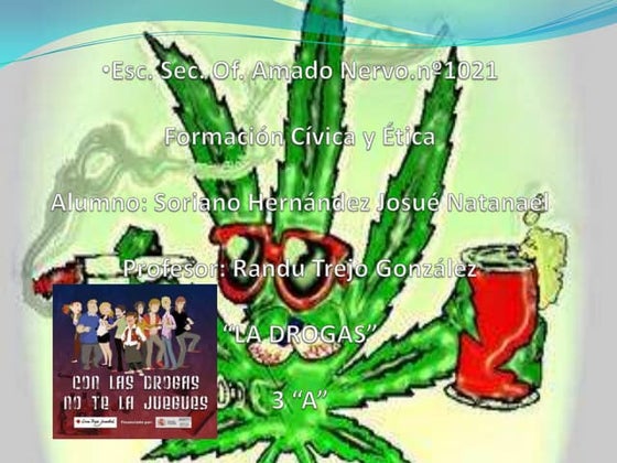 Proyecto drogadiccion
