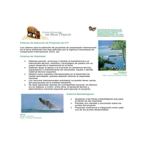 Proyectos Ciencia & Tecnología