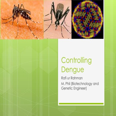 Dengue control