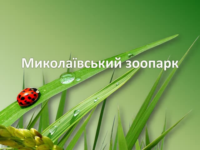 миколаївський зоопарк