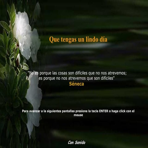 Recomenzar quehermoso