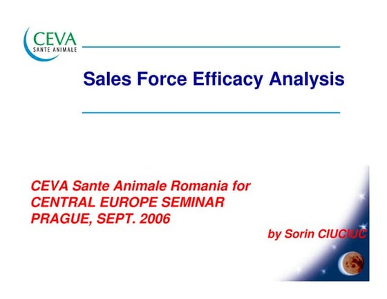 Sales Force Efficacy, Prague Seminar