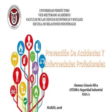 Seguridad Industrial