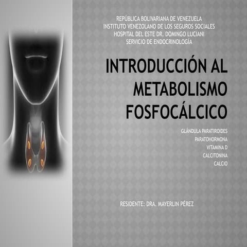 seminario  METABOLISMO FOSFOCÁLCICO (1).pptx