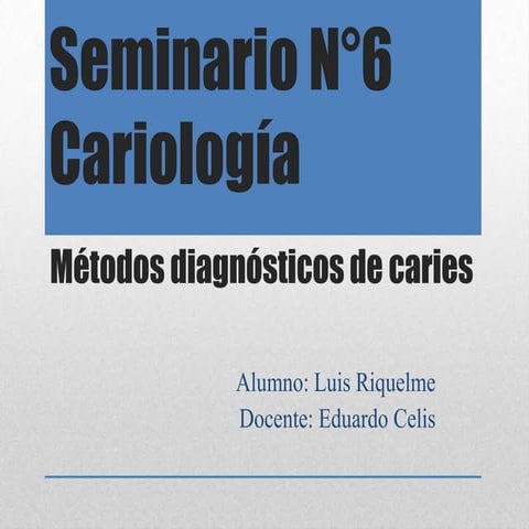 Seminario n°6