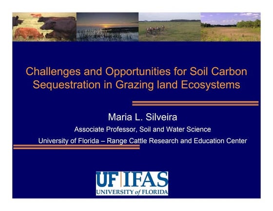 Silveira   solutions to new challenges