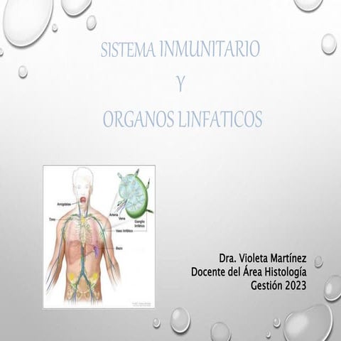 sistemalinfatico-histologia- MED 2023.pptx