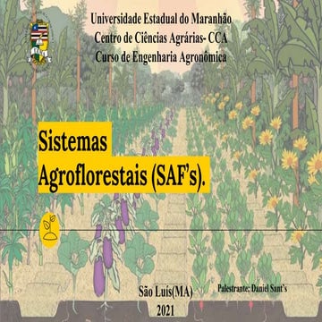 Sistemas agroflorestal ( safs )