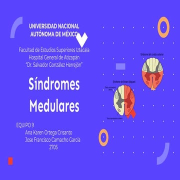 Síndromes Medulares .pdf