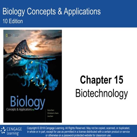 My example all about me