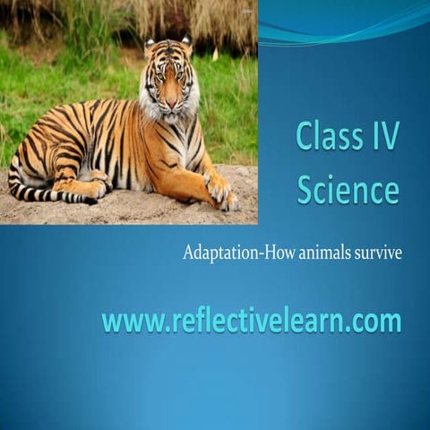 Class IV - Adaptations-How Animals Survive
