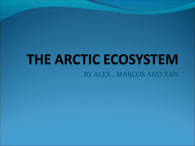 The arctic ecosystem