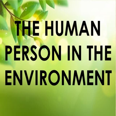 Philosophy 1- the human person in the environment.pptx