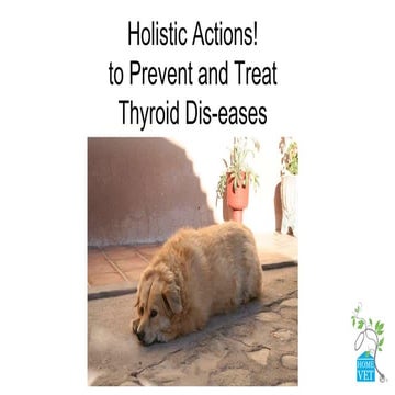 Thyroid slideshare