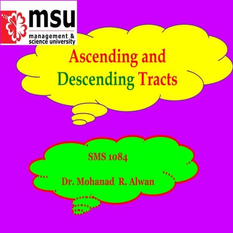 Tracts (ascending and descending)
