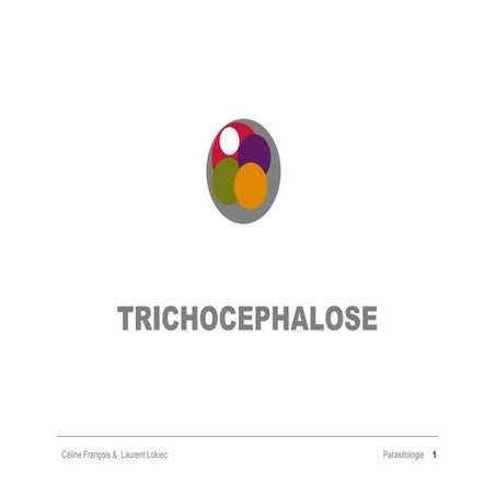 TrichocéPhalose0910