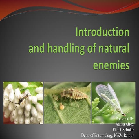  Introduction to handling of natural enemies