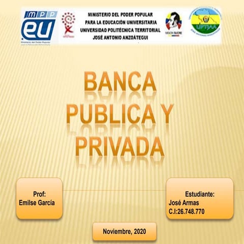 Banca Publica y Privada