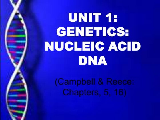 Unit 1 genetics nucleic acids dna(2)
