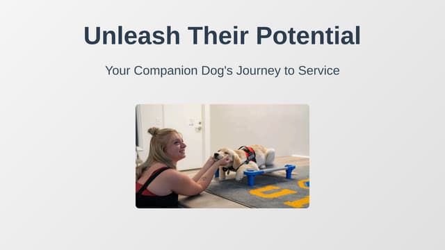 Unleash Their Potential Your Companion Dog's Journey to Service.