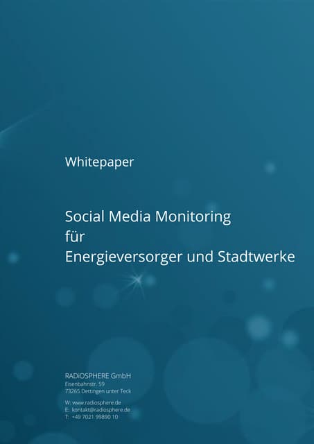 WHITEPAPER - Social Media Monitoring für Energieversorger und Stadtwerke 2013