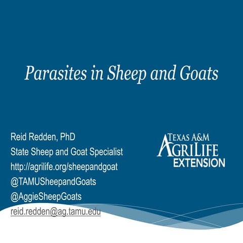 Parasites in Sheep and Goats by R. Reid Redden, PhD