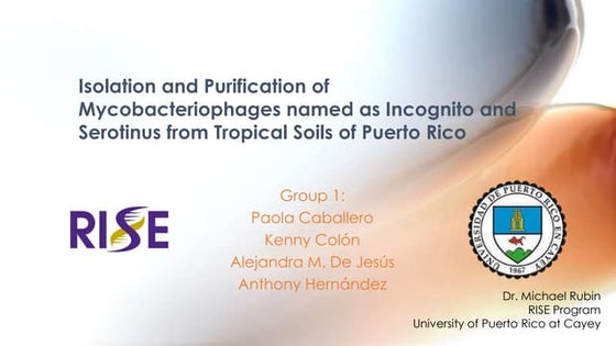 Phages Presentation