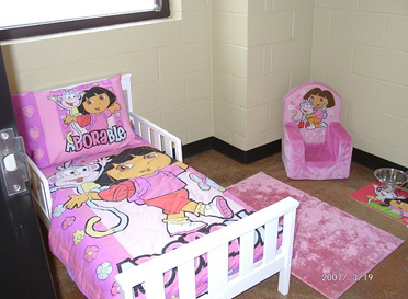 open-dora.jpg