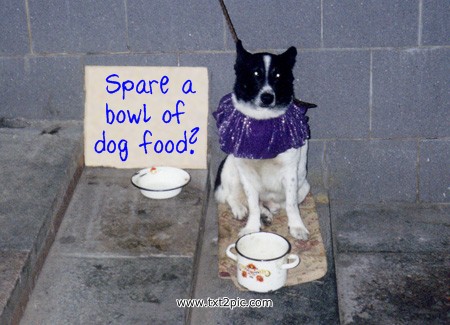 begging-dog_www-txt2pic-com.jpg