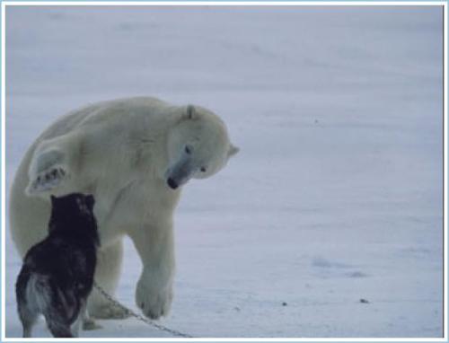 image0022