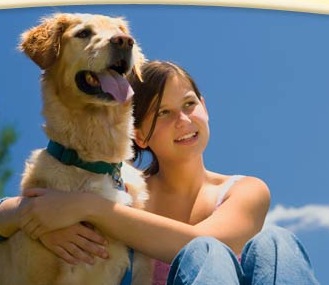stanford-ca-hotel-pet-friendly-packages-top stanford-ca-hotel-pet-friendly-packages-top