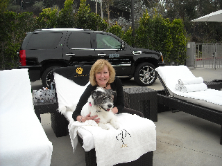 DoggyandMePackages144 DoggyandMePackages144