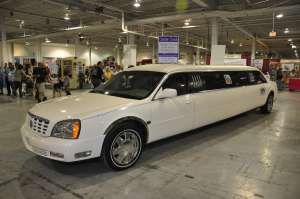 doggy-limo