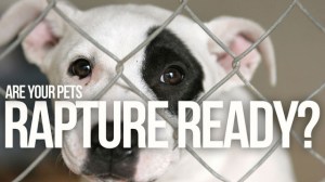 xlarge_rapture_pets