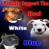 Blaze_N_Pits-redwhiteandblue_500