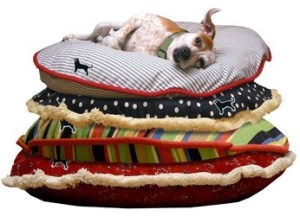 DogBanner