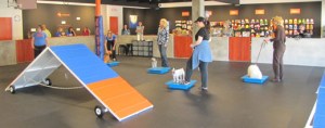 monterey-dog-training
